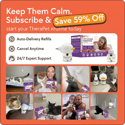 Cats Calming Diffuser Kit